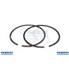 Set 2 Segmenti Stihl Ts410