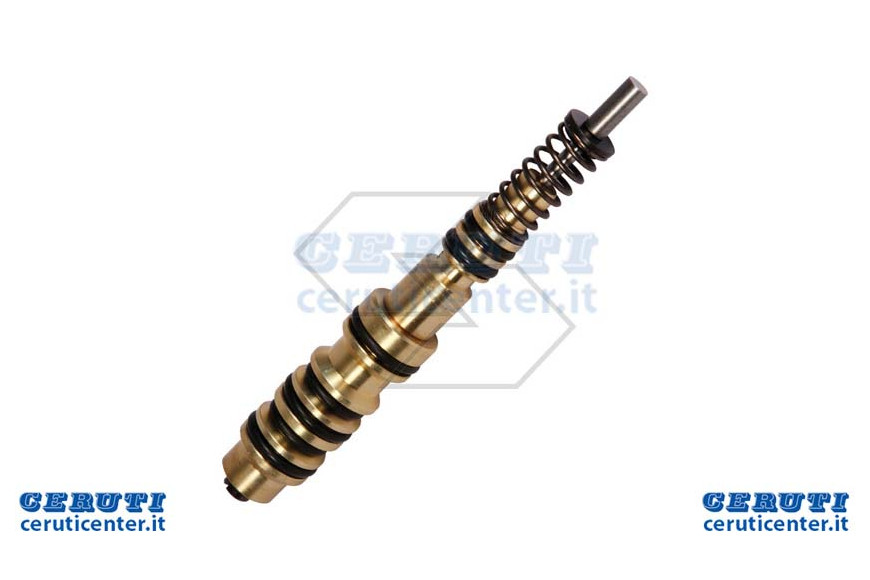 Pompa Olio Om 251-261-254-350
