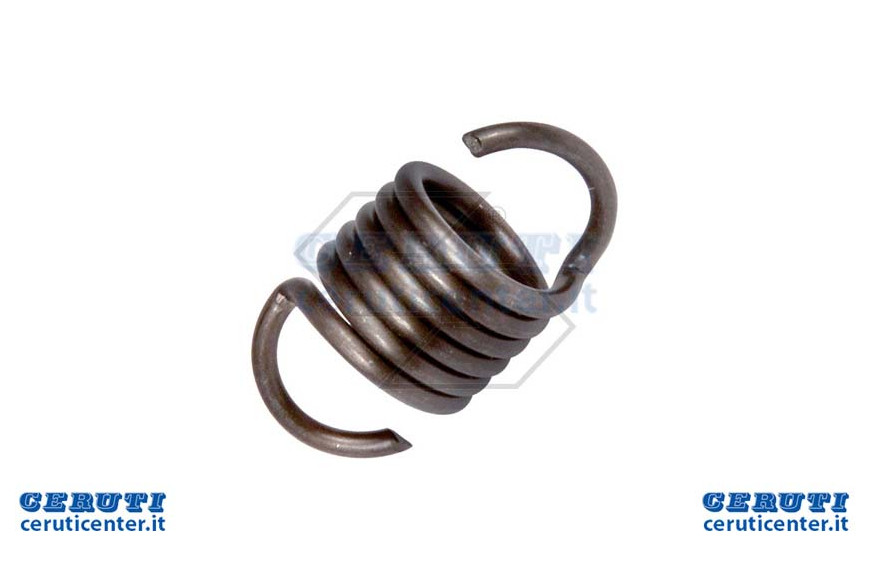 Clutch Spring Echo Cs2600Es