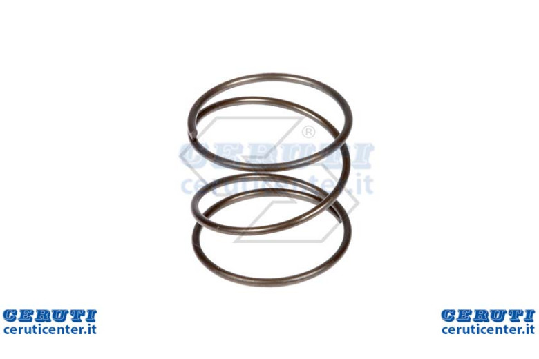 Central Spring Head Fermier