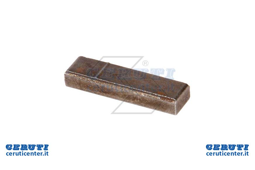 Linguetta Aspera 17,6X4,8X3,2