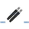Gaine Echo 303 2 Type L.815