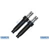 Guaina Tanaka 2°Tipo L.880
