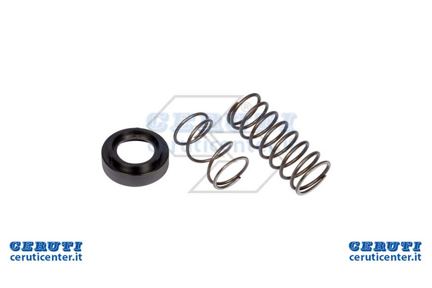 Kit Spring Ric.Easy Load D.109 + Prem.