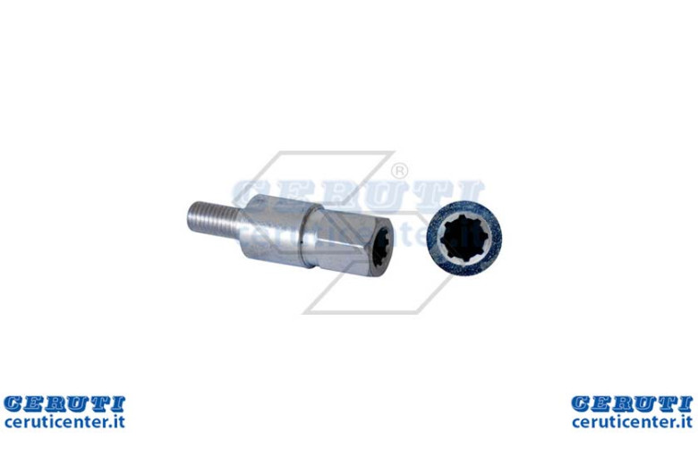 Insert adapter Auction 8 Teeth