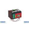 Pour énergisants batterie 12V - 15 Ah