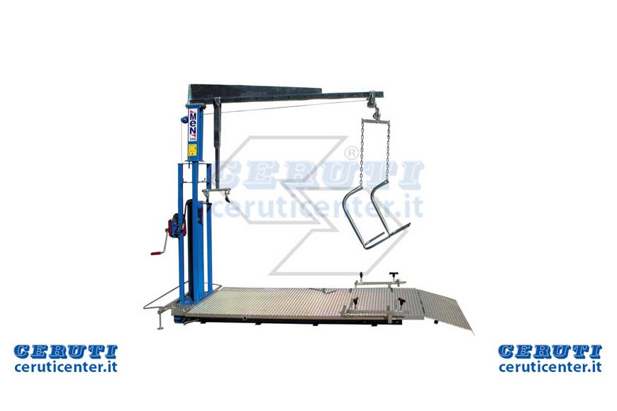Bench Professional Lifting