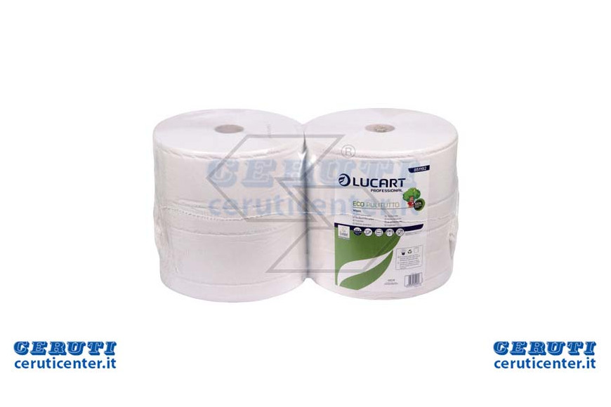 Papier double couche Rouleau Dans Eco Essuyage