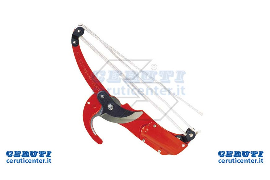 Without pruner Professional Auction