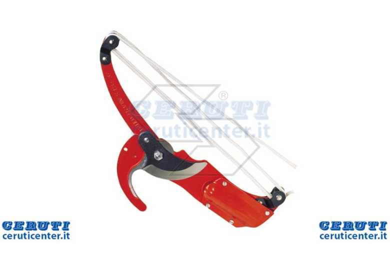 Without pruner Professional Auction