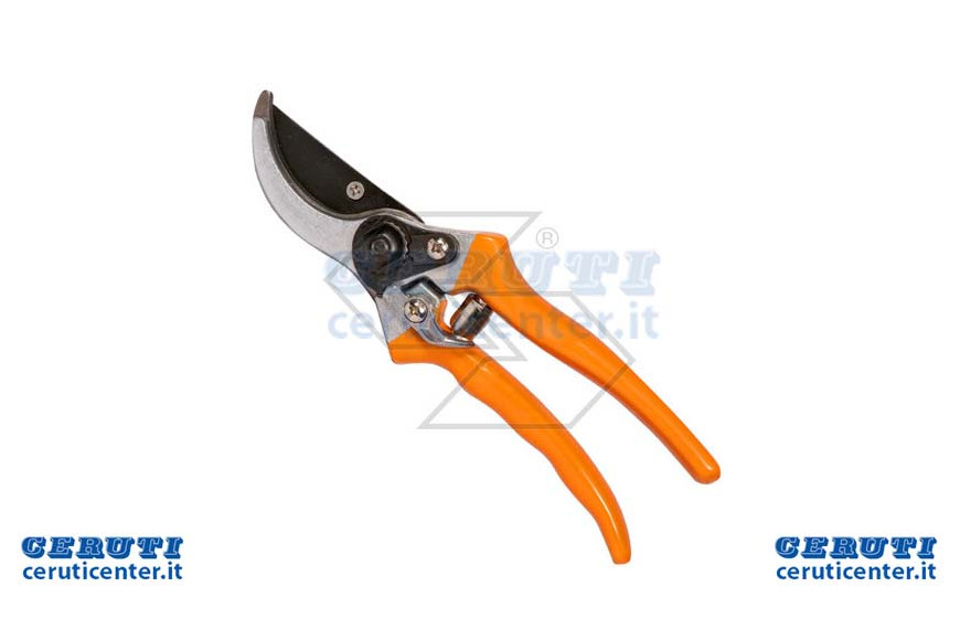 De la taille de la norme professionnelle