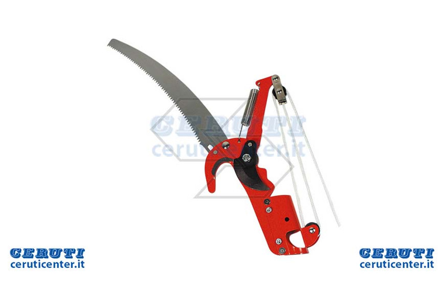 Pruner Without Standard Auction