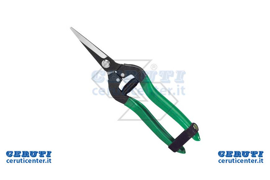 Scissors Fruit Collection A Lame Dritte