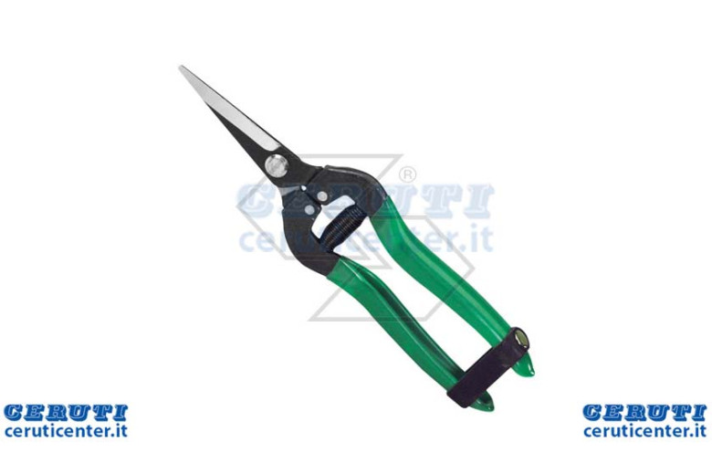 Scissors Fruit Collection A Lame Dritte
