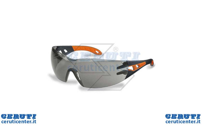 Lunettes de protection Pheos Gris A Stanghetta