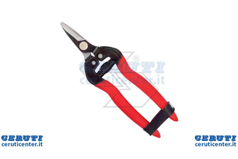 Schere-Sammlung mit Von Lama Short Forestal
