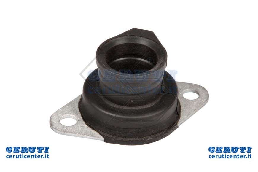 Collettore Asp. Echo 550-650-660