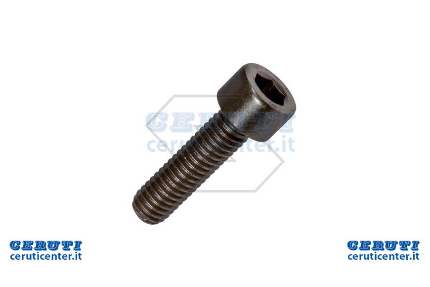 Hedge trimmers Screw TCEI M6X22 10.9
