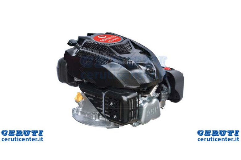 Motore Alb.Vert.22X60 X Motozappe