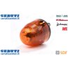 Girofaro - Originale SDF - 04414773