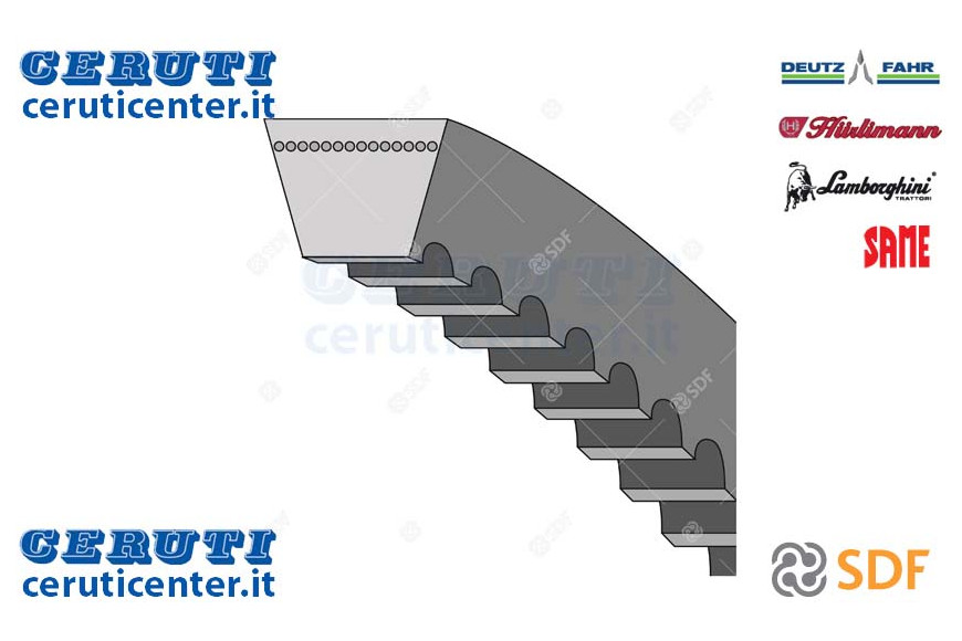 Strap Mm 1265 - Original SDF - 2.4119.181.0