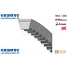 Cinghia - Originale SDF - 01175762