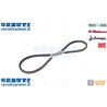 Cinghia - Originale SDF - 0.009.4773.2