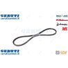 Cinghia - Originale SDF - 0.010.2697.1