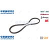 Cinghia - Originale SDF - 0.900.2453.9
