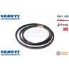 Cinghia - Originale SDF - 0.900.2515.2