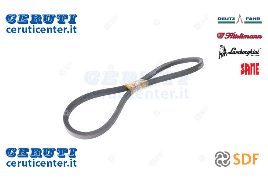 Cinghia - Originale SDF - 01116080