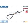 Cinghia - Originale SDF - 01116080