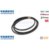 Cinghia - Originale SDF - 01139085