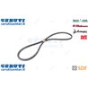 Cinghia - Originale SDF - 01139248