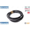 Cinghia - Originale SDF - 01145475