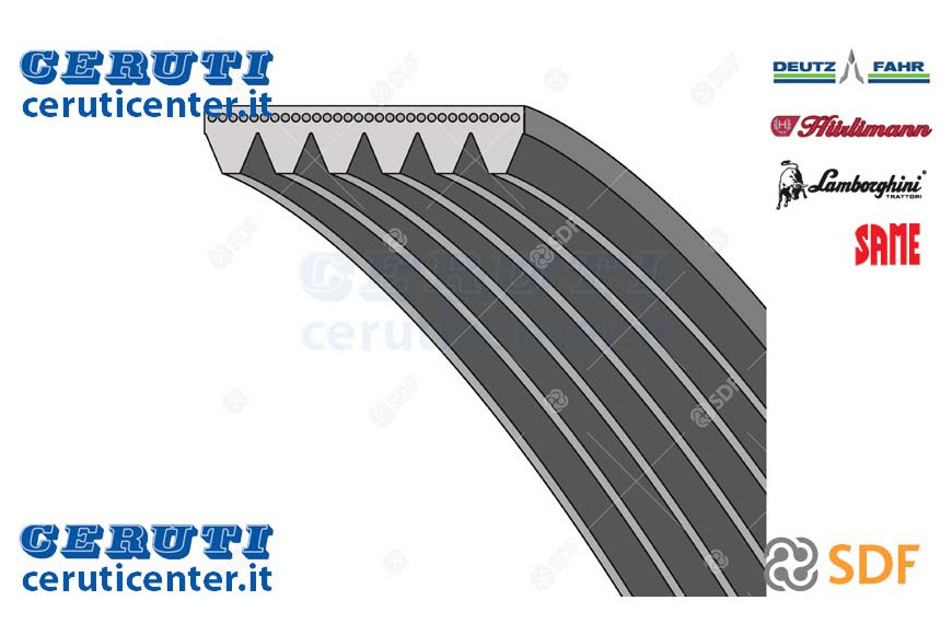 Strap Mm 5000 - Original SDF - 01145744