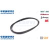 Cinghia - Originale SDF - 01161683