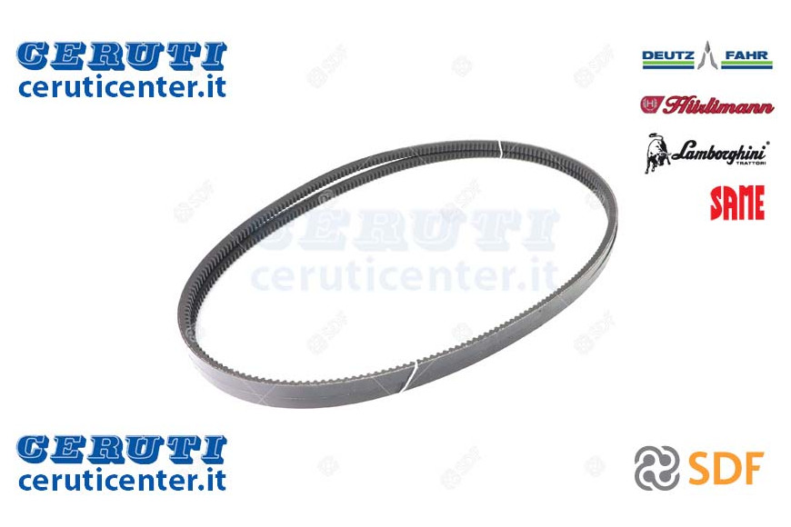 Cinghia - Originale SDF - 01174284