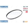 Cinghia - Originale SDF - 01174284