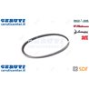 Cinghia - Originale SDF - 01175745