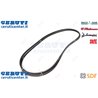 Cinghia - Originale SDF - 01179482