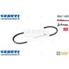 Cinghia - Originale SDF - 01179777