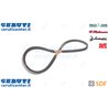 Cinghia - Originale SDF - 01179132