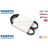 Cinghia - Originale SDF - 01180450