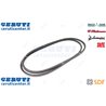 Cinghia - Originale SDF - 01180655