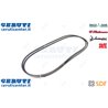 Cinghia - Originale SDF - 01179787