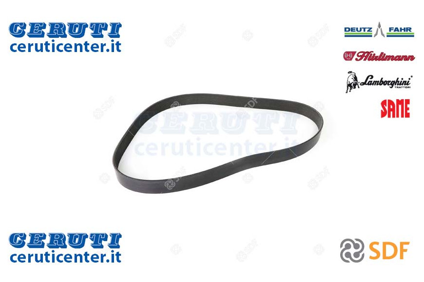 Cinghia - Originale SDF - 01183141