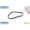 Cinghia - Originale SDF - 01183141