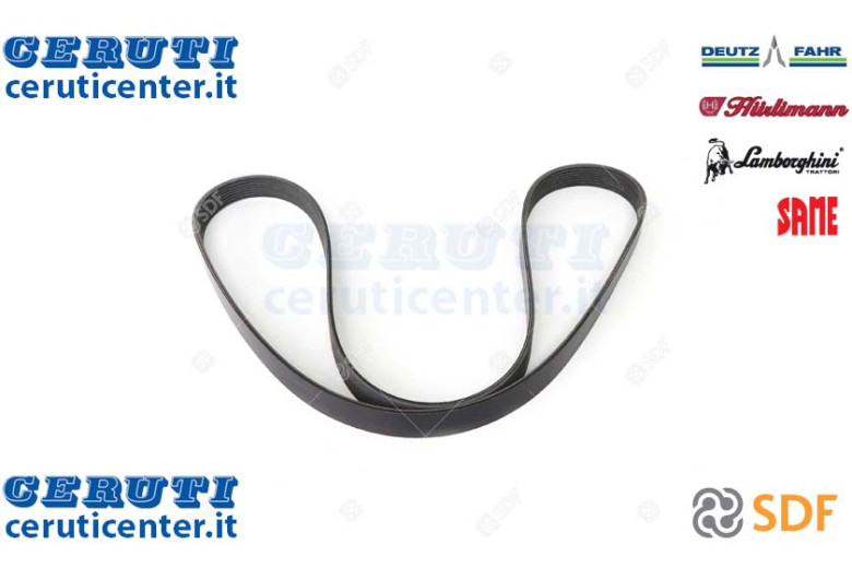Cinghia - Originale SDF - 01183367