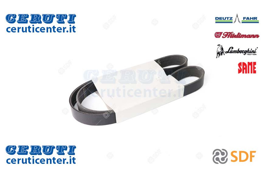 Cinghia - Originale SDF - 01183377